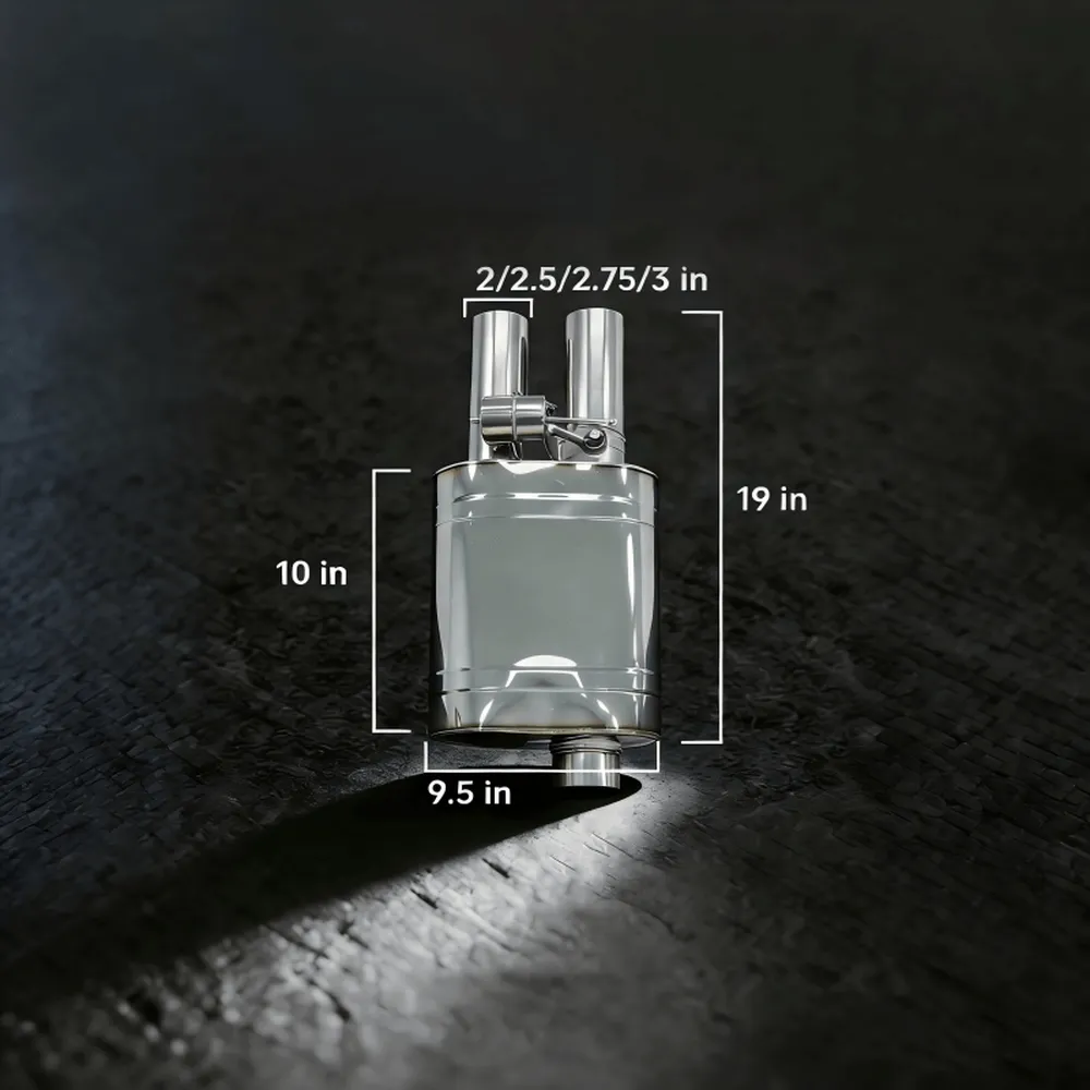 Single-Inlet Dual-Outlet Valved Muffler