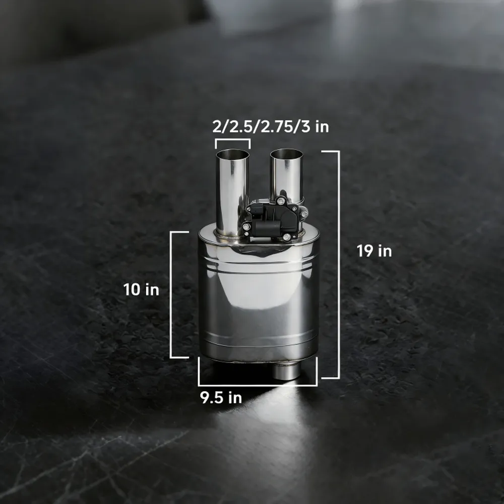 Single-Inlet Dual-Outlet Valved Muffler
